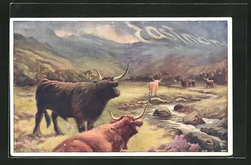 Künstler-AK Reklame Eastmans Butchers, Stiere auf der Weide