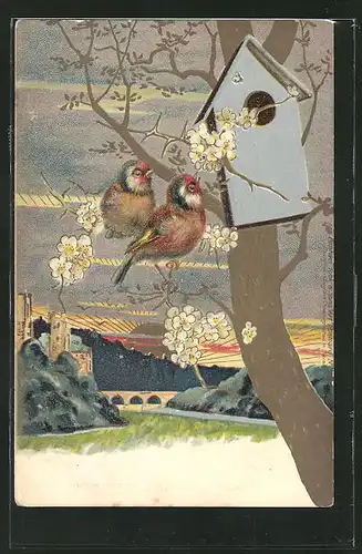 AK Jugendstil, Vögel sitzen vor einem Voglehaus auf einem blühenden Baum