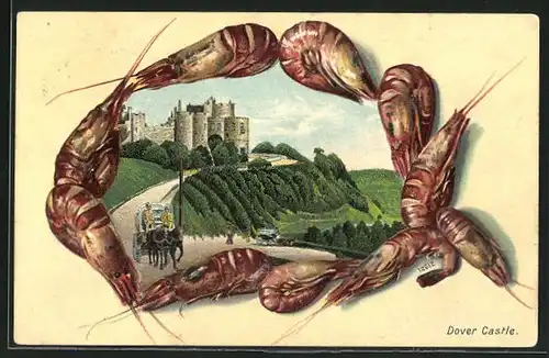 Passepartout-Lithographie Dover, View of the Castle, Schalentieren-Rahmen