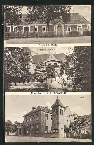 AK Maasdorf, Gasthof P. Mette, Herrenhaus vom Gut, Schule