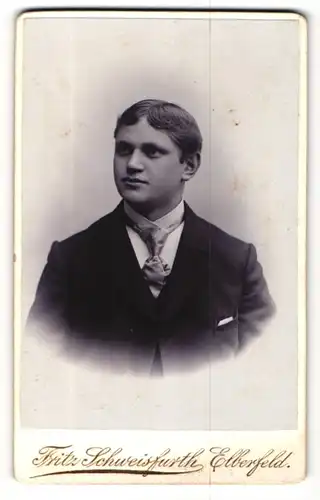 Fotografie Fritz Schweisfurth, Elberfeld, Portrait elegant gekleideter Mann mit Krawatte