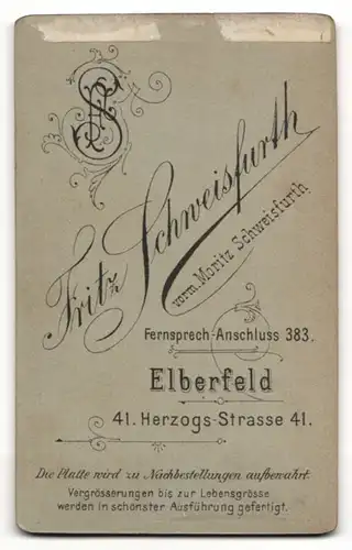 Fotografie Fritz Schweisfurth, Elberfeld, Portrait elegant gekleideter Mann mit Krawatte