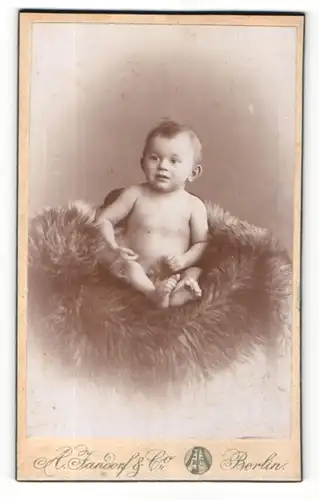Fotografie A. Jandorf, Berlin, Nacktes Baby auf einem Fell sitzend