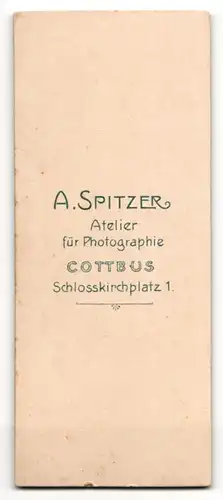 Fotografie A. Spitzer, Cottbus, Portrait junge Dame in hübscher Kleidung mit Puffärmeln