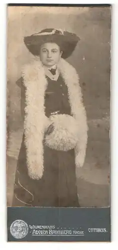 Fotografie Adolph Bromberg Nachf., Cottbus, Portrait junge Dame in modischer Kleidung mit Fellschal und Hut