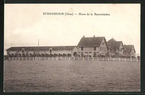 AK Echauffour, Haras de la Bauvoisinière