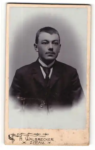 Fotografie H. Walbrecker, Zittau, Portrait junger Mann in Anzug mit Krawatte