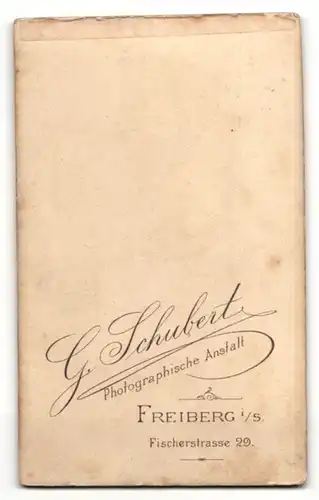 Fotografie Atelier Schubert, Freiberg i. S., Portrait brünette Schönheit in prachtvoll gerüschter Bluse