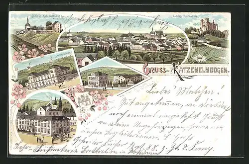 Lithographie Katzenelnbogen, Hotel Bremser, Privat-Heilanstalt für Nervenkranke, Schloss Hohlenfels