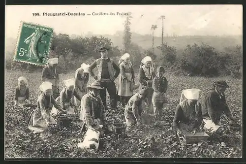 AK Plougastel-Daoulas, Bauern ernten Erdbeeren, Obst