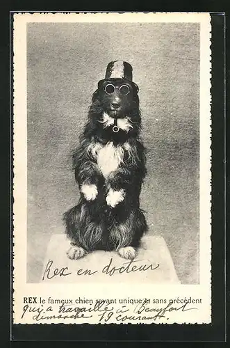 AK Hund mit Hut, Sonnenbrille und Pfeife macht Männchen, Rex le fameux chien, vermenschlichte Tiere