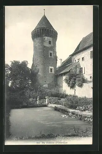 AK Estavayer, Le Chateau, Blick zur Burg