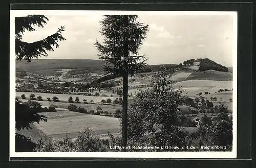 AK Reichelsheim / Odenwald, Totalansicht mit Blick auf den Reichenberg