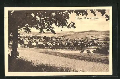 AK Haiger / Hessen-Nassau, Totalansicht im Sommer