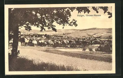 AK Haiger / Hessen-Nassau, Blick über die Felder nach dem Ort