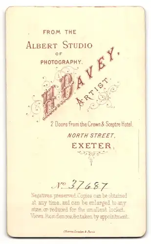 Fotografie H. Davey, Exeter, Dame im Kleid neben Farn