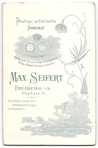 Fotografie Max Seifert, Freiberg i/S, Portrait Fräulein in Kleid mit Schirm
