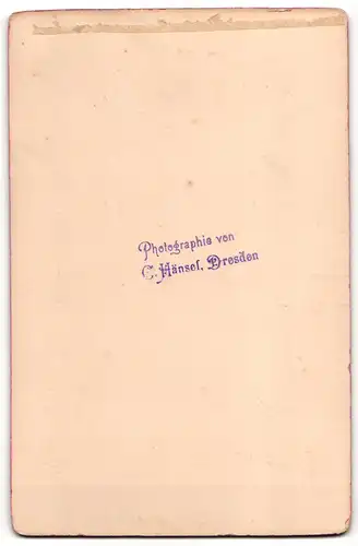 Fotografie C. Hänsel, Dresden, Portrait Braut und Bräutigam, Hochzeit