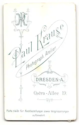 Fotografie Paul Krause, Dresden-A., Portrait dunkelhaariger charmanter Mann mit Schnurrbart
