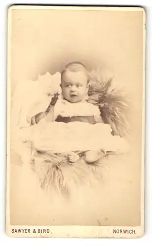 Fotografie Sawyer & Bird, Norwich, Portrait süsses Baby im Kleidchen auf Fell liegend