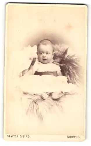 Fotografie Sawyer & Bird, Norwich, Portrait niedliches Baby im Taufkleidchen