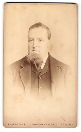 Fotografie A. & G. Taylor, London, Portrait Mann mit Kinnbart