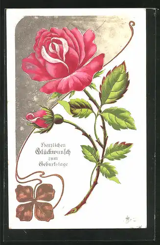Präge-AK Prachtvolle rosa Rosenblüte, Glückwunsch zum Geburtstag!