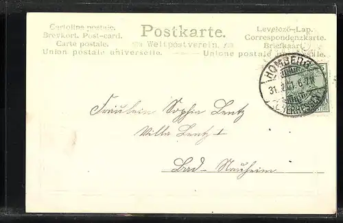 AK Kleeblätter schmücken einen Briefumschlag, Jahreszahl 1902, Glückwunsch zum neuen Jahre!