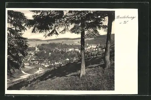 AK Berleburg i. W., Blick von der Bergwiese auf den Ort