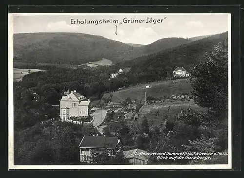 AK Seesen / Harz, Erholungsheim Grüner Jäger