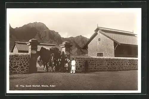 AK Aden-Maala, The Scott Market