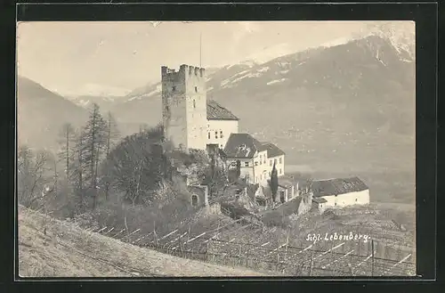 AK Lebenberg, Blick auf Schloss Lebenberg