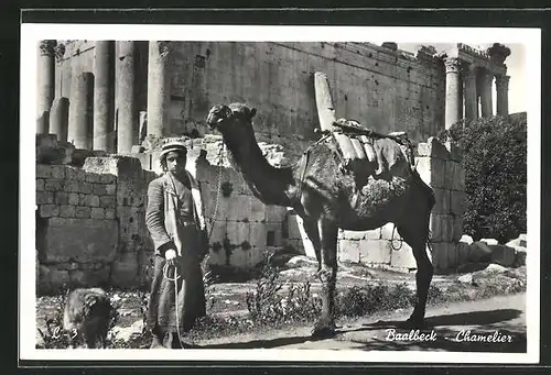 AK Baalbec, Cameleer, Anwohner mit Kamel vor einer Ruine