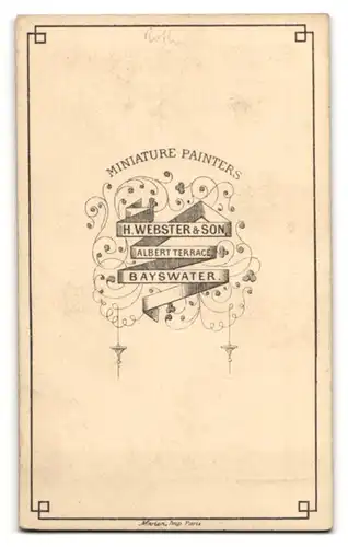 Fotografie H. Webster & Son, Bayswater, Portrait junger Herr mit modischer Krawatte