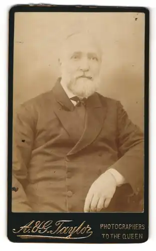 Fotografie A. & G. Taylor, London, Portrait älterer Herr mit Bart in Anzug