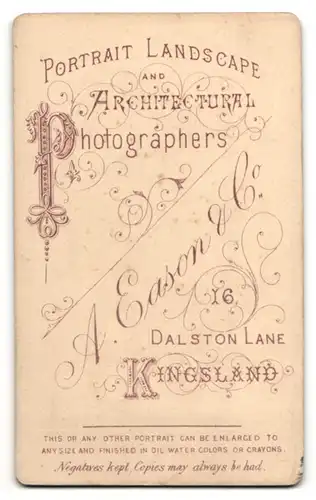 Fotografie A. Eason & Co., Kingsland, Portrait niedliches Kleinkind im hübschen Kleid