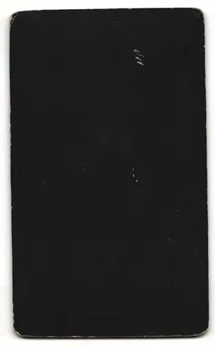 Fotografie Mess. Stearn, Cambridge, Portrait Mann mit zurückgekämmten Haaren und gepunkteter Krawatte