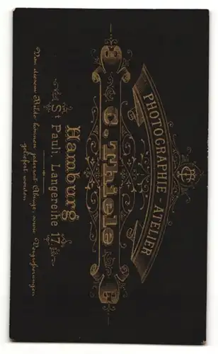 Fotografie C. Thiele, Hamburg, Portrait bürgerlicher Herr mit Fliege und Vollbart