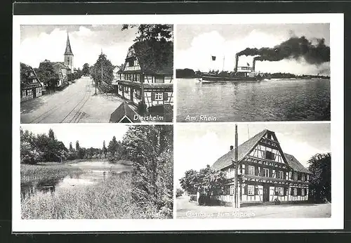 AK Diersheim, Gasthaus zum Rappen, Rheinansichten, Ortspartie mit Kirche