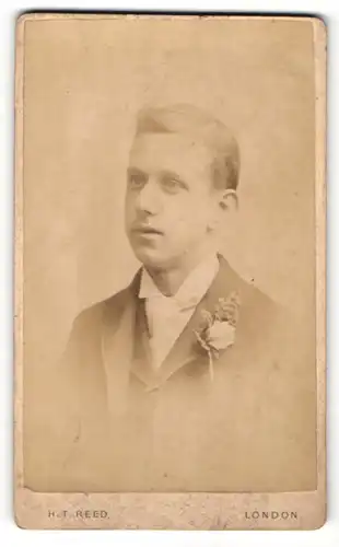 Fotografie H. T. Reed, London, Portrait junger Herr im Anzug mit Krawatte und Ansteckblume