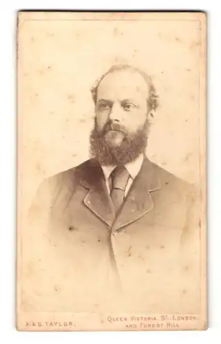 Fotografie A. & G. Taylor, London-EC, Portrait bürgerlicher Herr im Anzug mit Krawatte und Vollbart