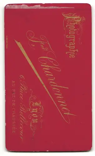 Fotografie F. Chardonnet, Lyon, Portrait charmante Dame im eleganten Kleid