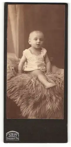 Fotografie Stein, Berlin, Portrait niedliches Baby auf einem Fell