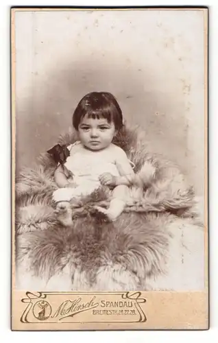 Fotografie M. Hirsch, Berlin-Spandau, Portrait niedliches Baby auf einem Fell
