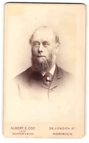 Fotografie Albert E. Coe, Norwich, Portrait bürgerlicher Herr im Anzug mit Krawatte und Bart
