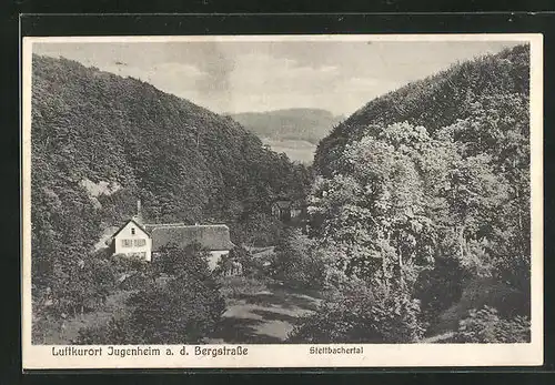 AK Jugenheim / Bergstrasse, Sicht in das Stettbacher Tal
