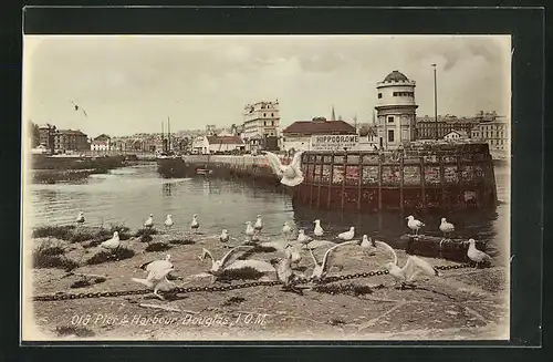 AK Douglas, Old Pier & Harbour