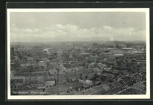 AK Terneuzen, Blick über die Dächer der Stadt