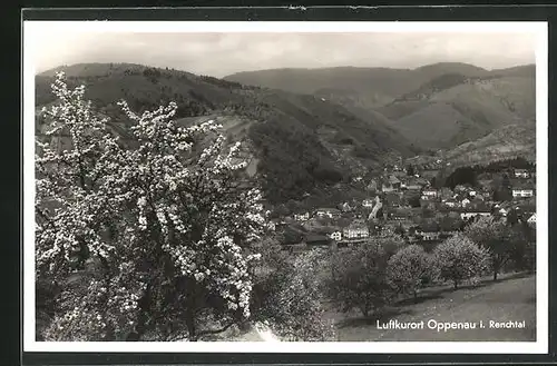 AK Oppenau / Renchtal, Blick zum Ort