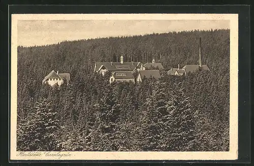 AK Carolagrün / Vogtl., Blick auf die Heilstätte